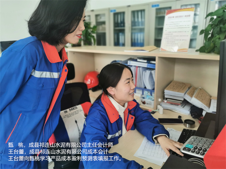 甄桃  王臺蕾  成縣祁連山水泥有限公司  成本會計王臺蕾向主任會計師甄桃學習產(chǎn)品成本盈利預測表填報工作.jpg