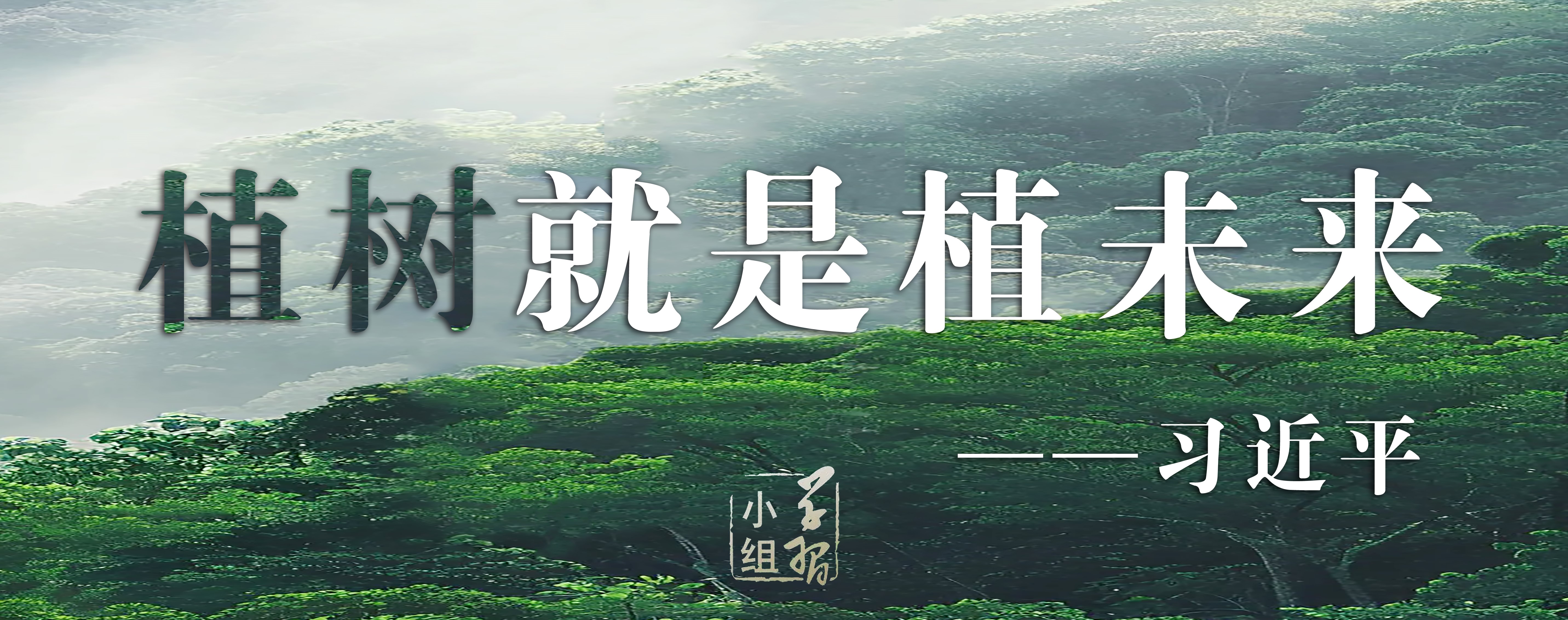 植樹(shù) .jpg